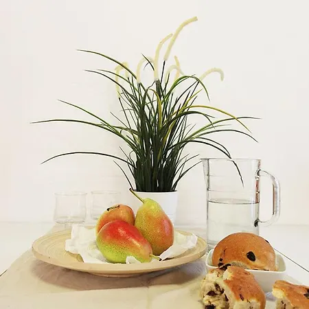 Apartment Comodo Venice